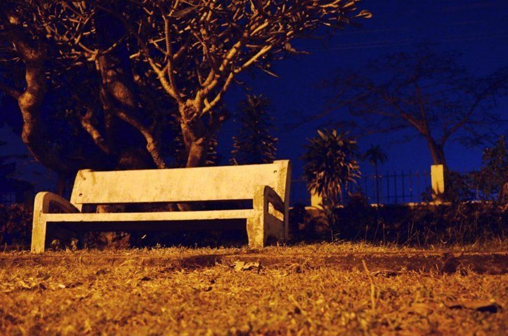 bench.JPG